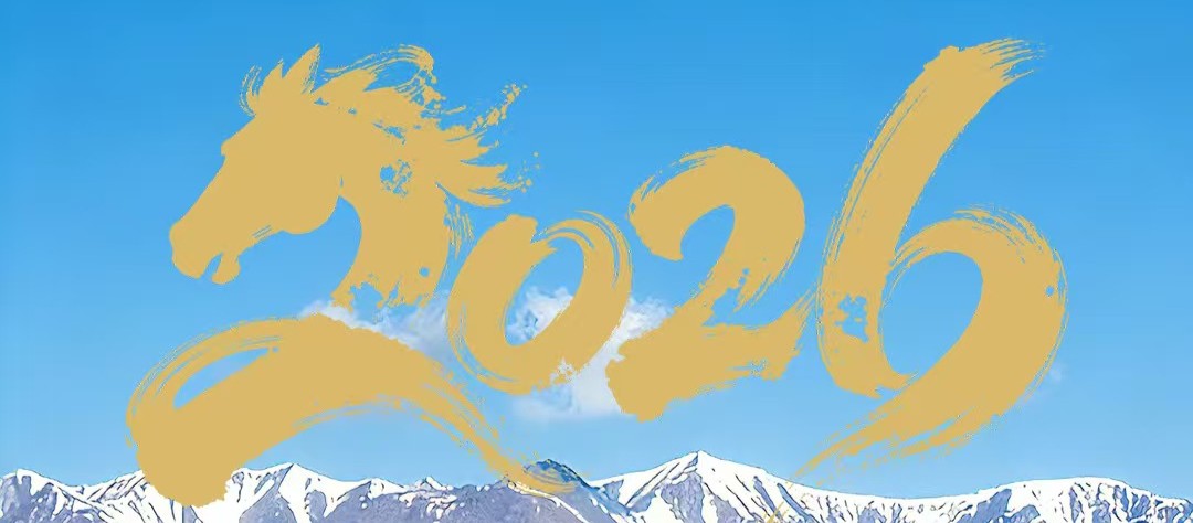 驭梦乘奔，马跃新程丨六方云启程2026