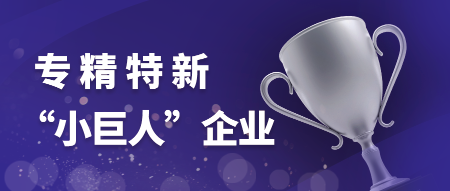 喜报！六方云顺利通过国家级专精特新“小巨人”复核